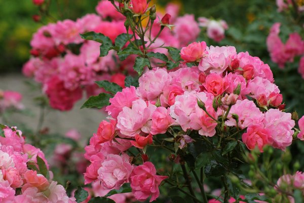 Was sind die besten Tipps zur Immobilienverrentung?